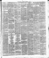 Surrey Gazette Saturday 25 December 1875 Page 3