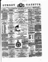 Surrey Gazette Tuesday 17 July 1877 Page 1