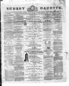 Surrey Gazette Tuesday 29 January 1878 Page 1