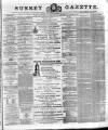 Surrey Gazette Saturday 05 January 1878 Page 1