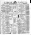 Surrey Gazette Saturday 02 February 1878 Page 1