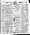Surrey Gazette Friday 08 March 1878 Page 1
