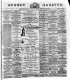 Surrey Gazette Friday 26 April 1878 Page 1