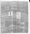 Surrey Gazette Saturday 27 April 1878 Page 3