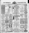 Surrey Gazette Friday 03 May 1878 Page 1