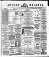 Surrey Gazette Saturday 04 May 1878 Page 1