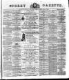 Surrey Gazette Friday 10 May 1878 Page 1