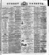Surrey Gazette Friday 24 May 1878 Page 1