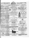 Surrey Gazette Tuesday 10 December 1878 Page 1