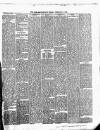 Armagh Standard Friday 01 February 1895 Page 3