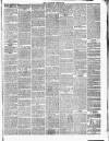 Croydon Chronicle and East Surrey Advertiser Saturday 25 December 1858 Page 3