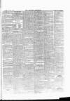 Croydon Chronicle and East Surrey Advertiser Saturday 05 August 1865 Page 5