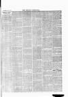Croydon Chronicle and East Surrey Advertiser Saturday 19 August 1865 Page 3