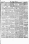 Croydon Chronicle and East Surrey Advertiser Saturday 07 October 1865 Page 7