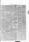 Croydon Chronicle and East Surrey Advertiser Saturday 25 November 1865 Page 3