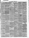 Croydon Chronicle and East Surrey Advertiser Saturday 24 February 1866 Page 7