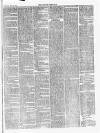 Croydon Chronicle and East Surrey Advertiser Saturday 19 May 1866 Page 5
