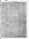 Croydon Chronicle and East Surrey Advertiser Saturday 26 May 1866 Page 7