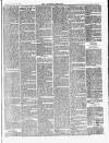Croydon Chronicle and East Surrey Advertiser Saturday 11 August 1866 Page 5