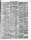 Croydon Chronicle and East Surrey Advertiser Saturday 11 August 1866 Page 7