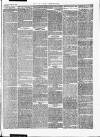 Croydon Chronicle and East Surrey Advertiser Saturday 18 August 1866 Page 3
