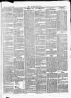 Croydon Chronicle and East Surrey Advertiser Saturday 25 August 1866 Page 5