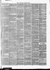 Croydon Chronicle and East Surrey Advertiser Saturday 25 August 1866 Page 7