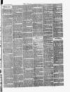 Croydon Chronicle and East Surrey Advertiser Saturday 22 December 1866 Page 7