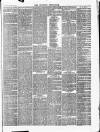 Croydon Chronicle and East Surrey Advertiser Saturday 29 December 1866 Page 3