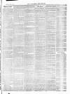 Croydon Chronicle and East Surrey Advertiser Saturday 15 August 1868 Page 3