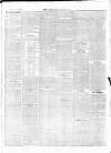 Croydon Chronicle and East Surrey Advertiser Saturday 19 December 1868 Page 3