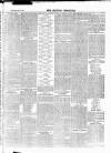 Croydon Chronicle and East Surrey Advertiser Saturday 19 December 1868 Page 7