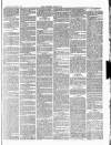 Croydon Chronicle and East Surrey Advertiser Saturday 09 January 1869 Page 5