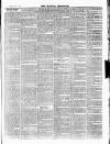 Croydon Chronicle and East Surrey Advertiser Saturday 09 January 1869 Page 7