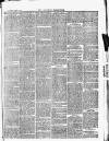 Croydon Chronicle and East Surrey Advertiser Saturday 06 March 1869 Page 7