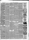 Croydon Chronicle and East Surrey Advertiser Saturday 25 February 1871 Page 3