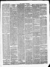 Croydon Chronicle and East Surrey Advertiser Saturday 10 May 1873 Page 5