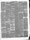 Croydon Chronicle and East Surrey Advertiser Saturday 24 May 1873 Page 5