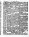 Croydon Chronicle and East Surrey Advertiser Saturday 29 November 1873 Page 8