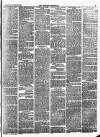 Croydon Chronicle and East Surrey Advertiser Saturday 23 January 1875 Page 3