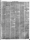 Croydon Chronicle and East Surrey Advertiser Saturday 30 January 1875 Page 3