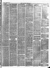 Croydon Chronicle and East Surrey Advertiser Saturday 17 April 1875 Page 3