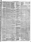 Croydon Chronicle and East Surrey Advertiser Saturday 05 June 1875 Page 3