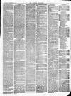 Croydon Chronicle and East Surrey Advertiser Saturday 11 September 1875 Page 3