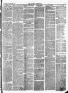 Croydon Chronicle and East Surrey Advertiser Saturday 30 October 1875 Page 3