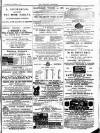 Croydon Chronicle and East Surrey Advertiser Saturday 11 December 1875 Page 3