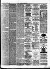 Croydon Chronicle and East Surrey Advertiser Saturday 08 January 1876 Page 3