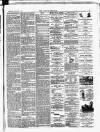 Croydon Chronicle and East Surrey Advertiser Saturday 06 January 1877 Page 3