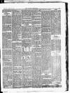 Croydon Chronicle and East Surrey Advertiser Saturday 13 January 1877 Page 5