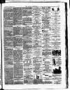 Croydon Chronicle and East Surrey Advertiser Saturday 20 January 1877 Page 3